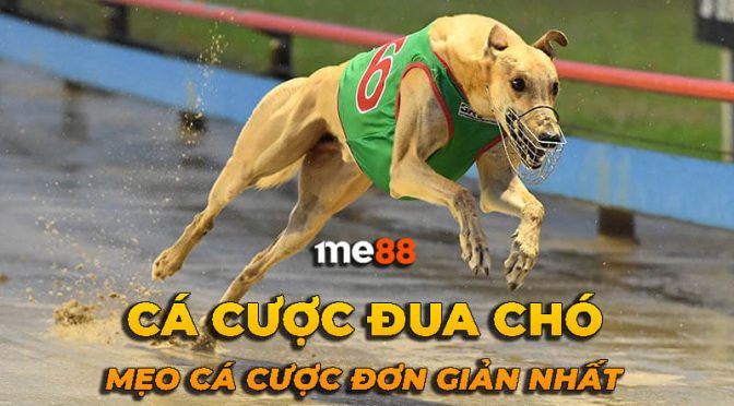 Hãy gửi thông tin xác minh của bạn để nhận phần thưởng 88000 đô la từ Vaobo88 - Vaobo88