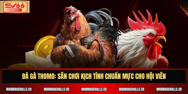 Rút tiền từ K89bet về tài khoản ngân hàng của bạn - K89bet