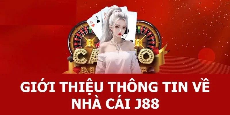 Khám phá những ưu đãi tuyệt vời tại Bigboss! - Bigboss
