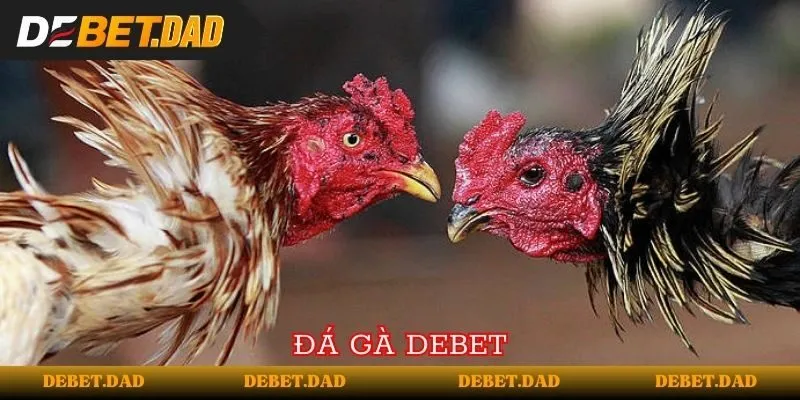 Tôi có thể khôi phục tài khoản Fabet bị mất của mình bằng cách nào? - Fabet