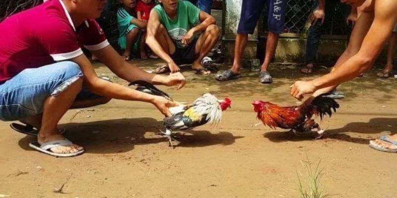 Bwin là một thương hiệu giải trí hướng đến đối tượng game thủ Việt Nam - Bwin