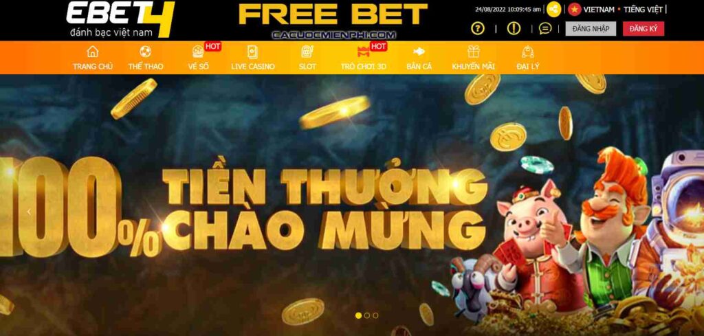 Những trò chơi chính trong các giải đấu cấp độ Ee8801 là gì? - Ee8801
