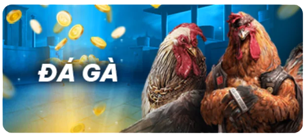 Công ty Wibo88 Games khó có khả năng phá sản, nhưng chúng ta vẫn nên cẩn thận! - Wibo88