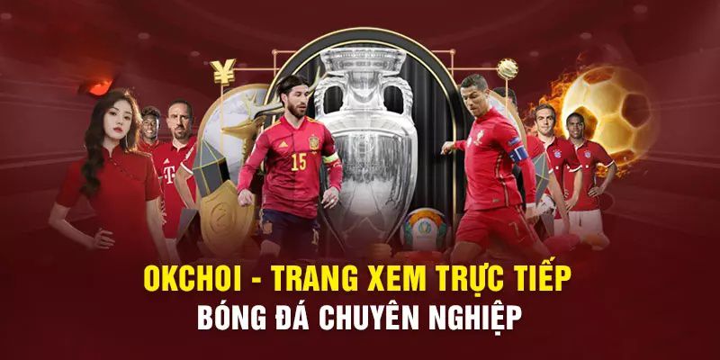 Lý do người chơi chọn P3bet - P3bet