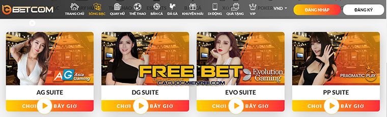 Những luật bạn cần biết để chơi trò chơi bắn cá cấp độ Hb888 - Hb888