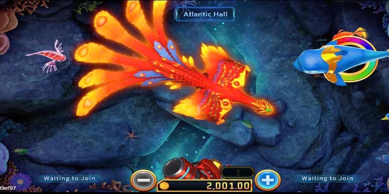 Các nhà phát triển game hàng đầu (Ricwin) cung cấp những sản phẩm game xuất sắc - Ricwin