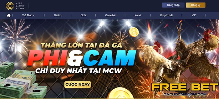 Hiểu về Bigbet88 - Bigbet88