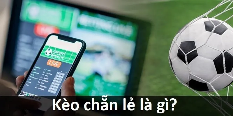 Danh tiếng thực sự ở cấp độ Zalv? - Zalv