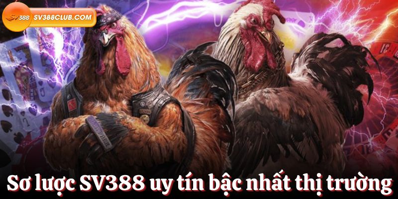 Số điểm Bwin miễn phí có thể được sử dụng vào năm 2026 - Bwin