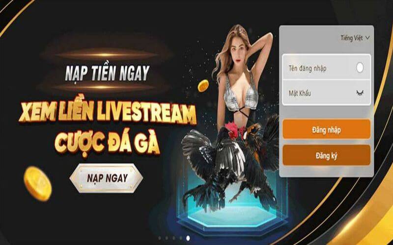 Kubet cung cấp rất nhiều trò chơi trực tuyến hấp dẫn - Kubet