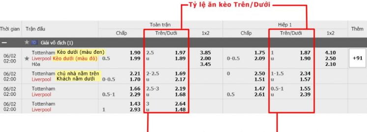 Hubet cũng cung cấp thêm các ưu đãi hoàn tiền cho thành viên mới - Hubet