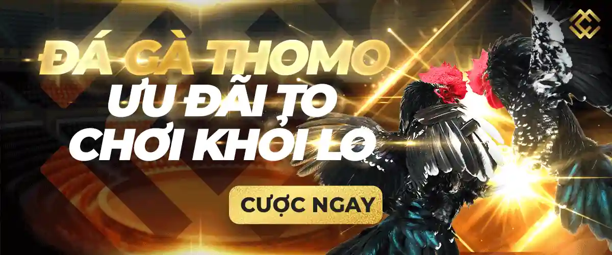 Melbet hoặc Melbet có nghĩa là gì? - Melbet