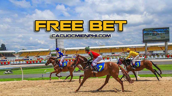 Tại sao nên chọn giải đấu cấp độ 999Bet? - 999Bet