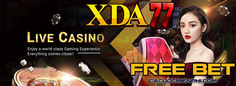 Những trò chơi chính trong các giải đấu cấp độ F8bet là gì? - F8bet