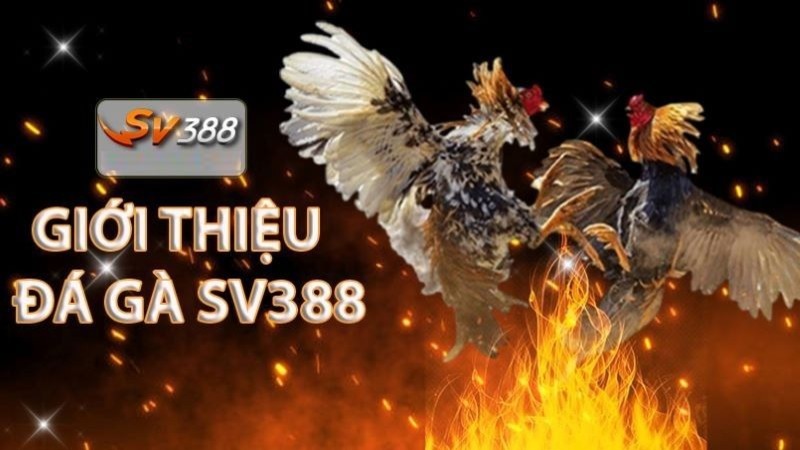 Trang web chính thức của trò chơi có xếp hạng tổng thể là Ek88 - Ek88