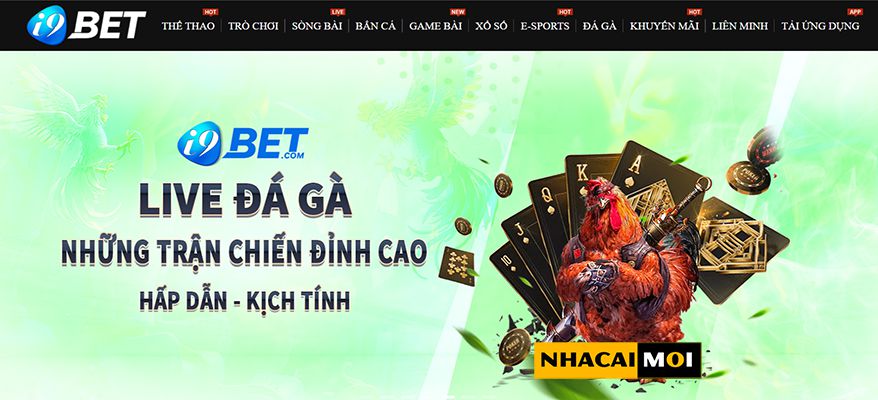 Giải tỏa cảm xúc của bạn với Sum99! - Sum99